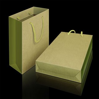 手提袋印刷效果图