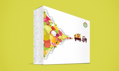 水果包装盒效果图