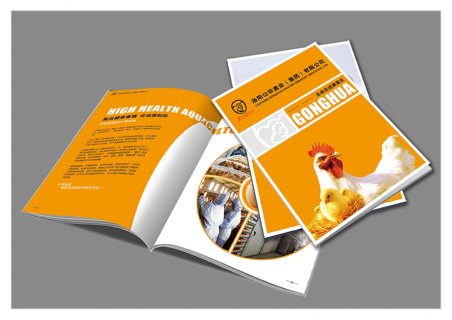 印刷厂样本印刷设计如何把握文化基调